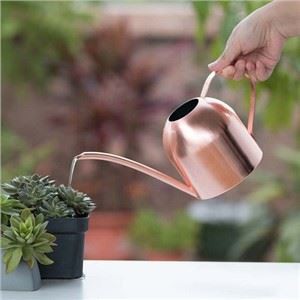 450ml Stainless Watering Can