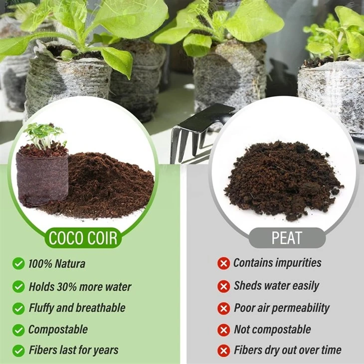 Coco Peat Plugs