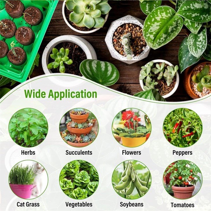 Coco Peat Plugs